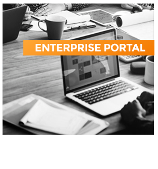 ENTERPRISE PORTALS